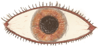 Zeichnung: Auge