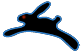 Dark Bunny